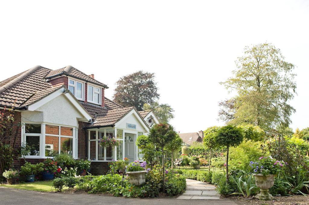 Forest View B&B Landford Exterior photo